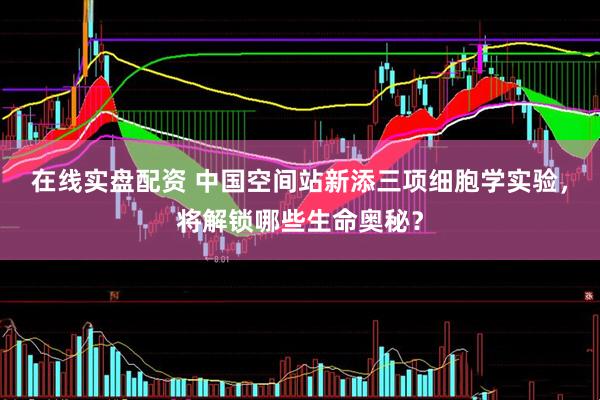 在线实盘配资 中国空间站新添三项细胞学实验，将解锁哪些生命奥秘？