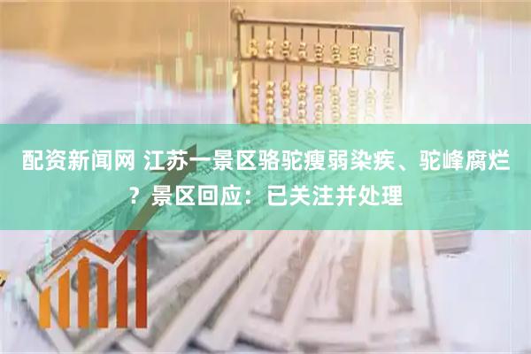 配资新闻网 江苏一景区骆驼瘦弱染疾、驼峰腐烂？景区回应：已关注并处理